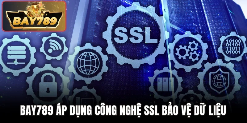 Bay789 áp dụng công nghệ SSL bảo vệ dữ liệu