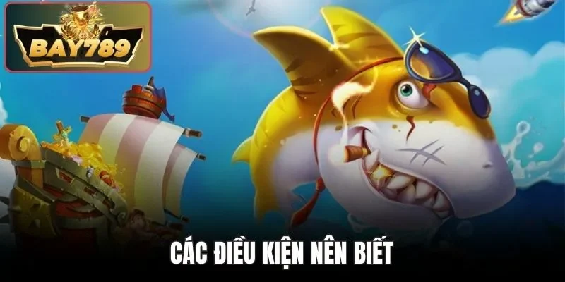Các điều kiện nên biết
