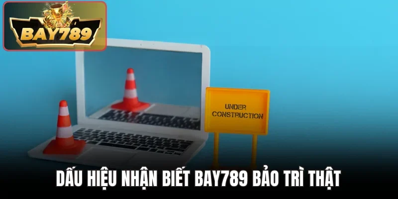 Dấu hiệu nhận biết Bay789 bảo trì thật