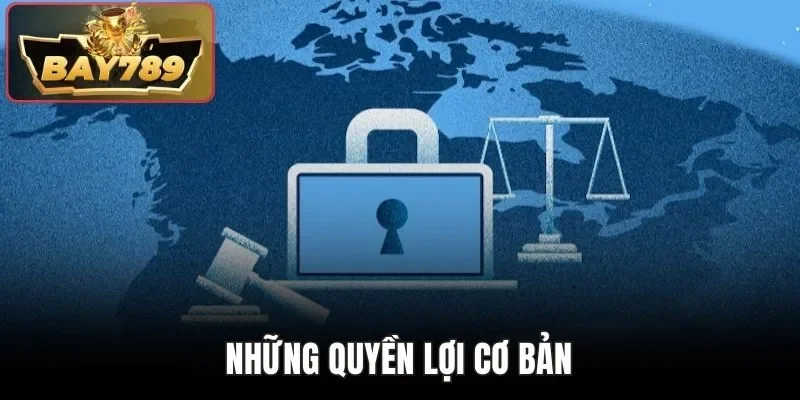 Những quyền lợi cơ bản